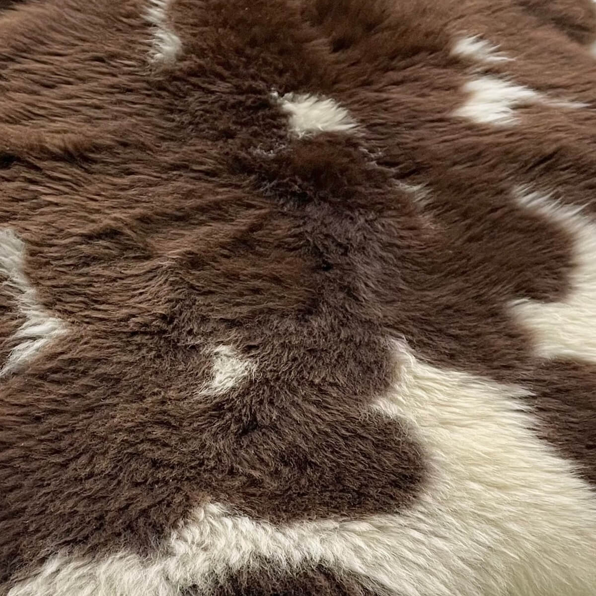 covoare din blana de oaie Texel, naturale cu pete, pufoase si dense zoom