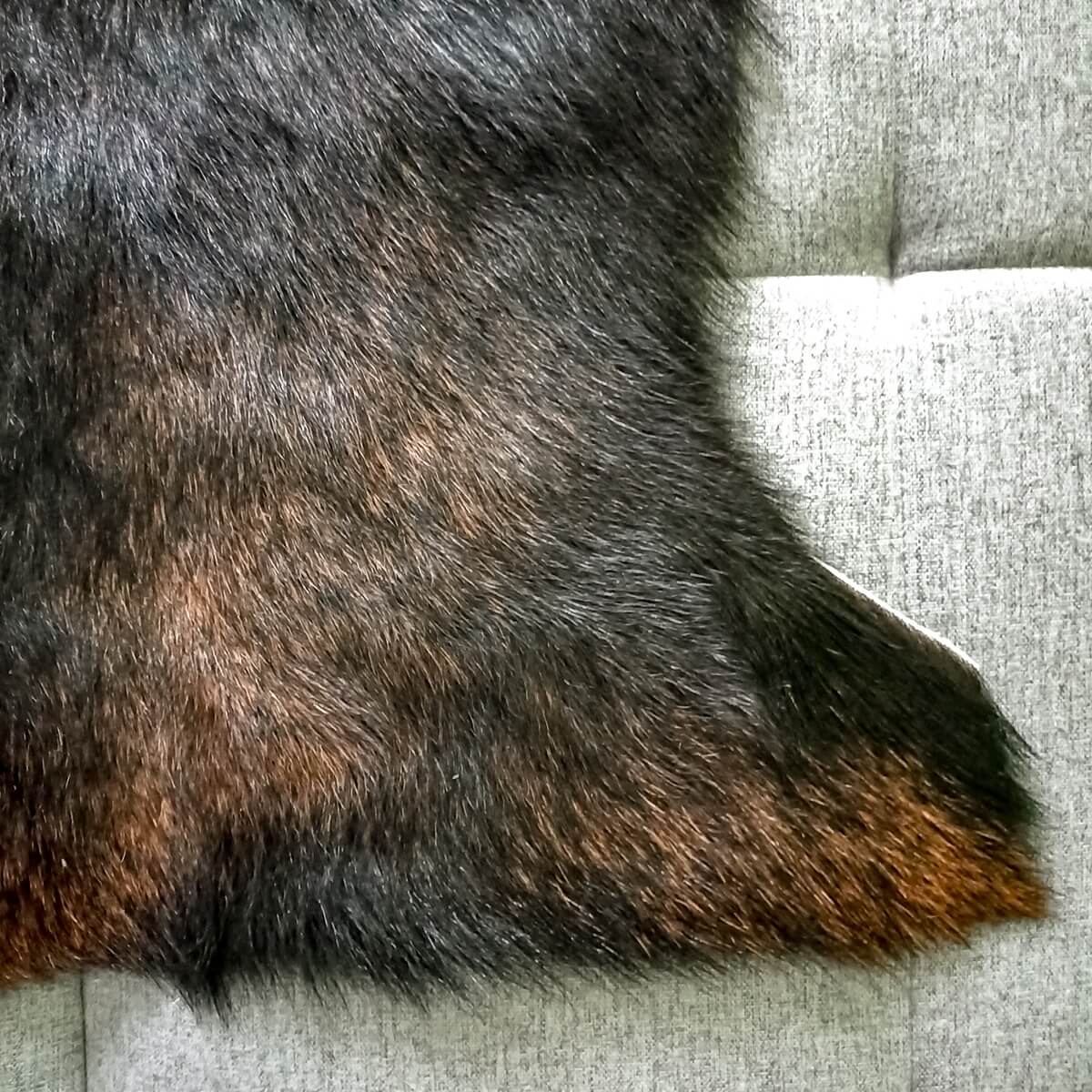 covor din piele de capra naturala 60x90 culoare neagra cu mici pete maro, zoom2