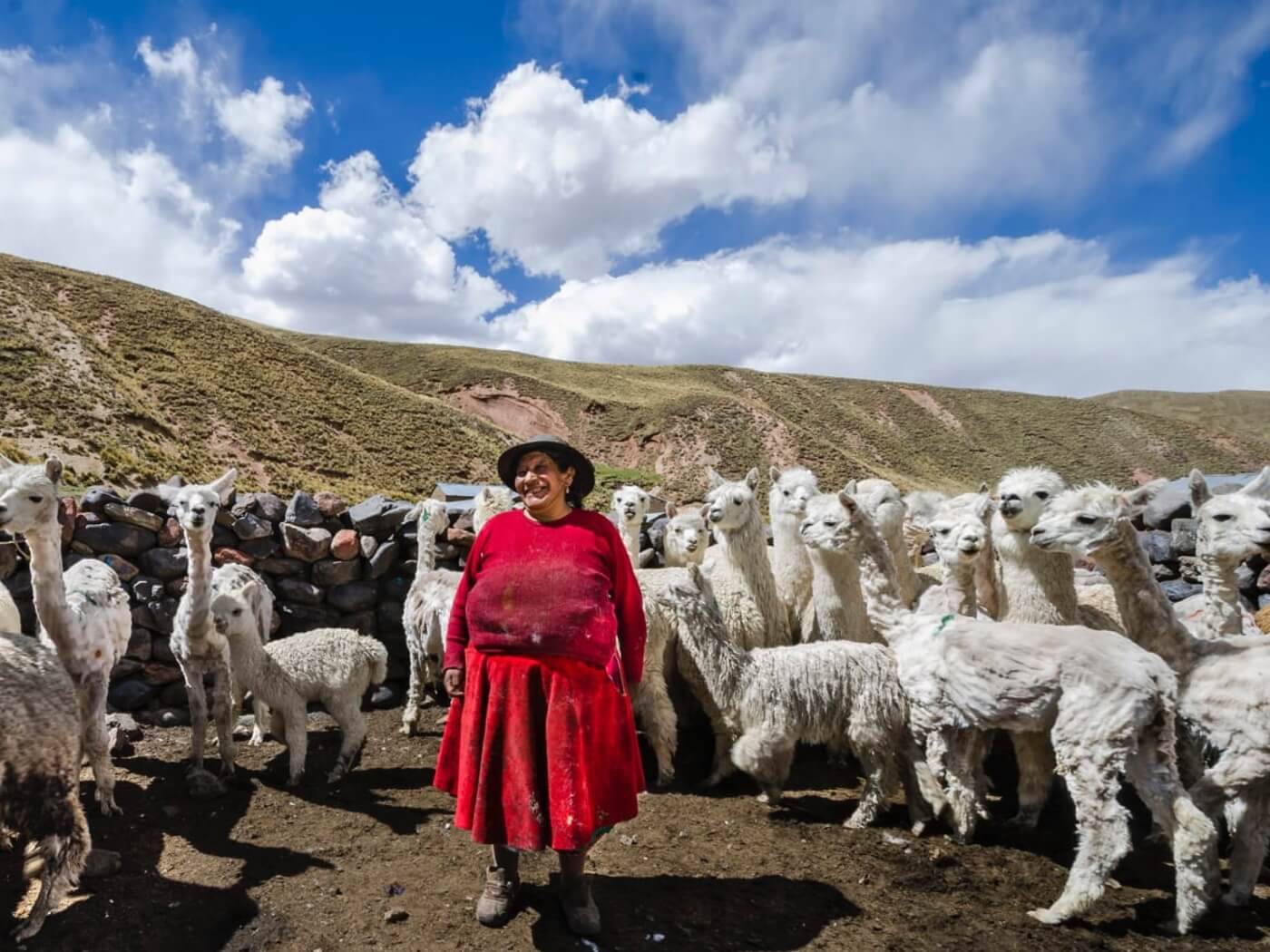 paturi din lana de alpaca - o comoara a anzilor ecuadorieni
