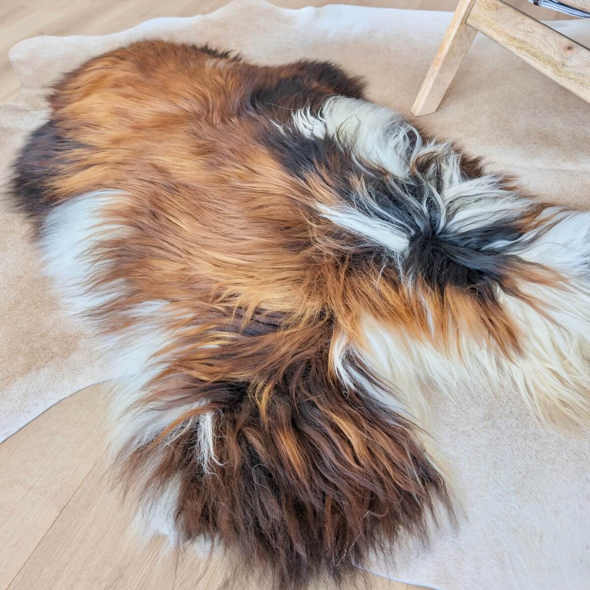 Covor din Blana Naturala de Oaie Islandeza cu fir extra lung de minim 10 cm, Tricolor 130 x 80 cm, pe podea 2