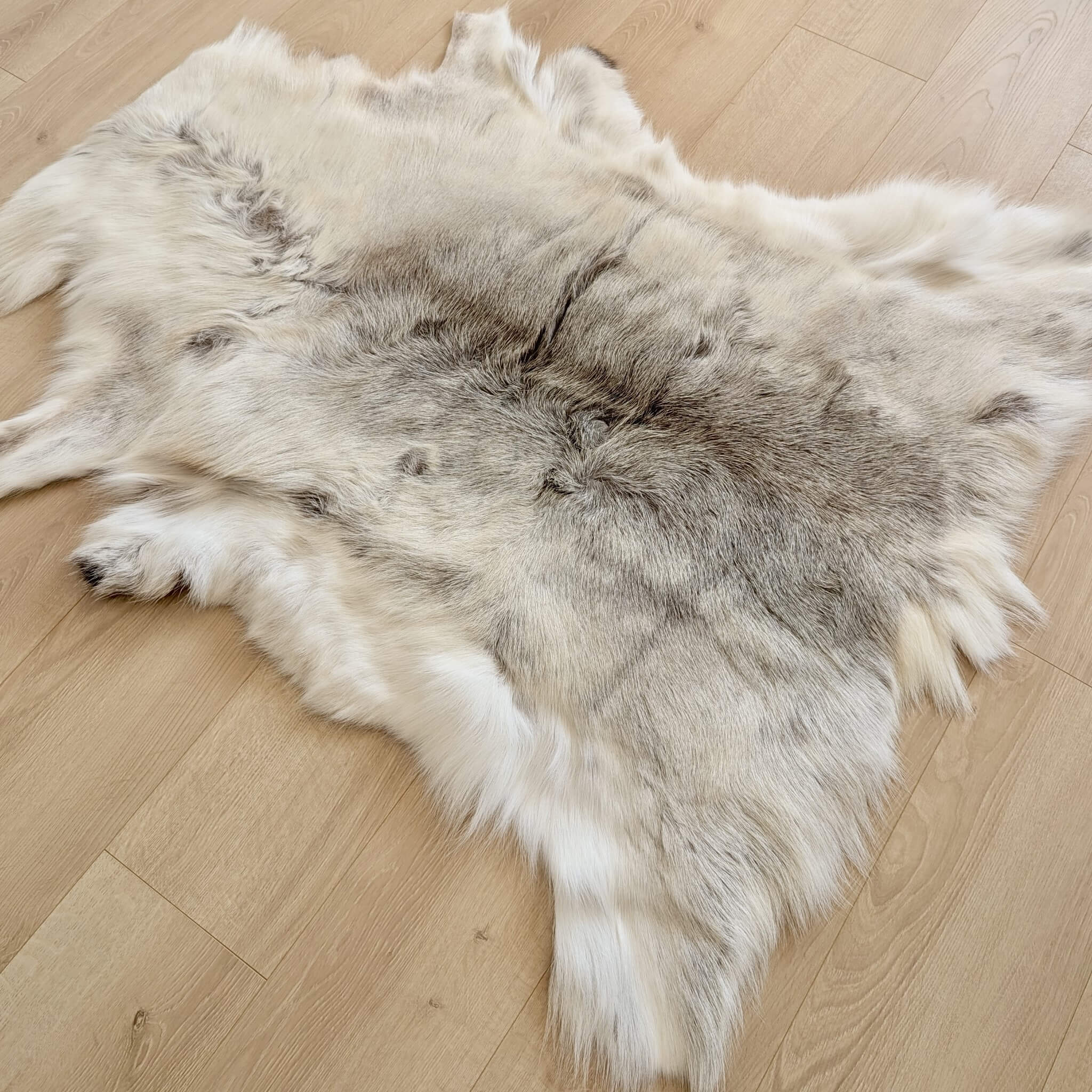 Covor din Piele Naturala de Ren in culori frumoase deschise de alb si gri MBRD001 in detaliu