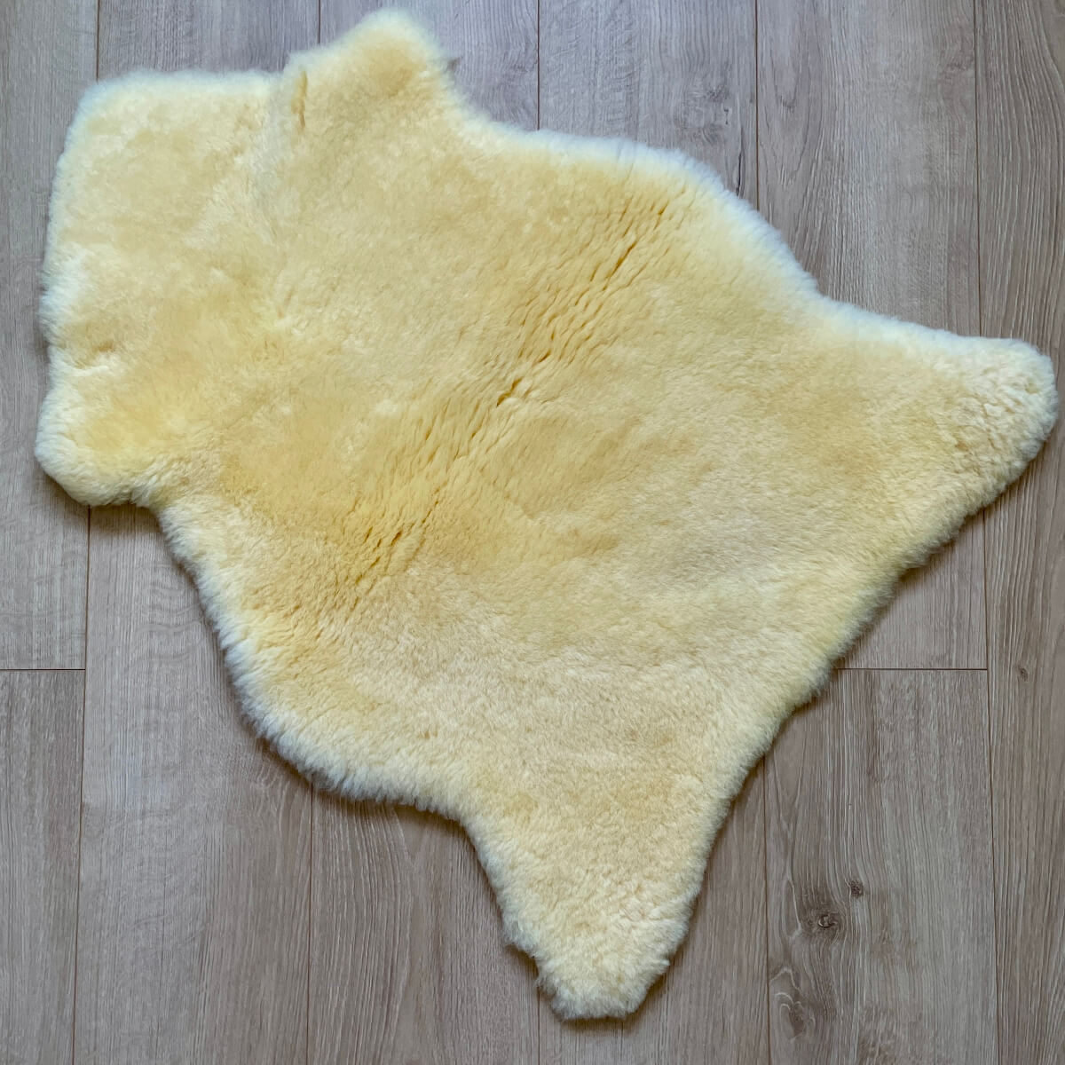 blana de oaie naturala medicinala merino cu fir scurt galben pe parchet