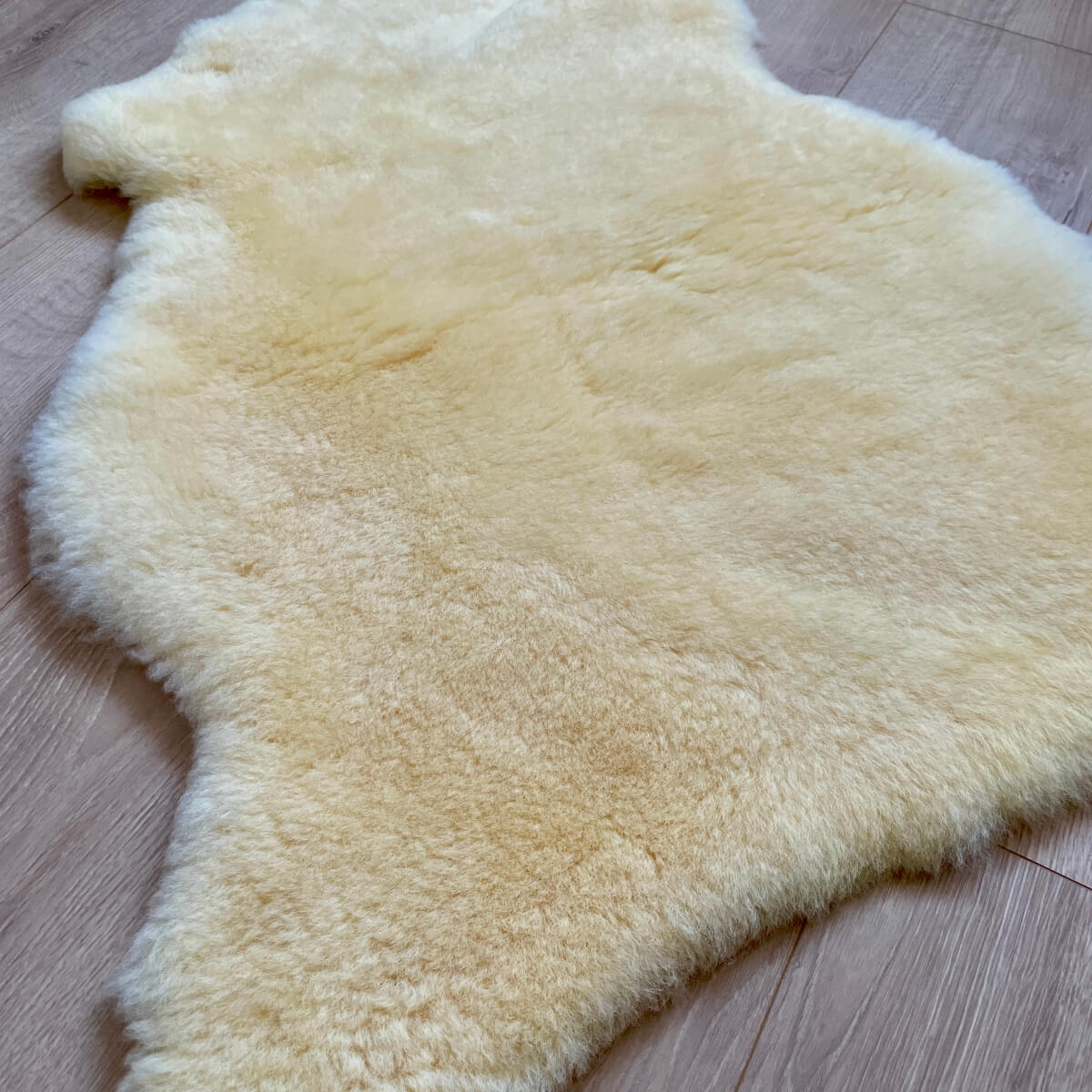 blana de oaie naturala medicinala merino cu fir scurt galben detalii