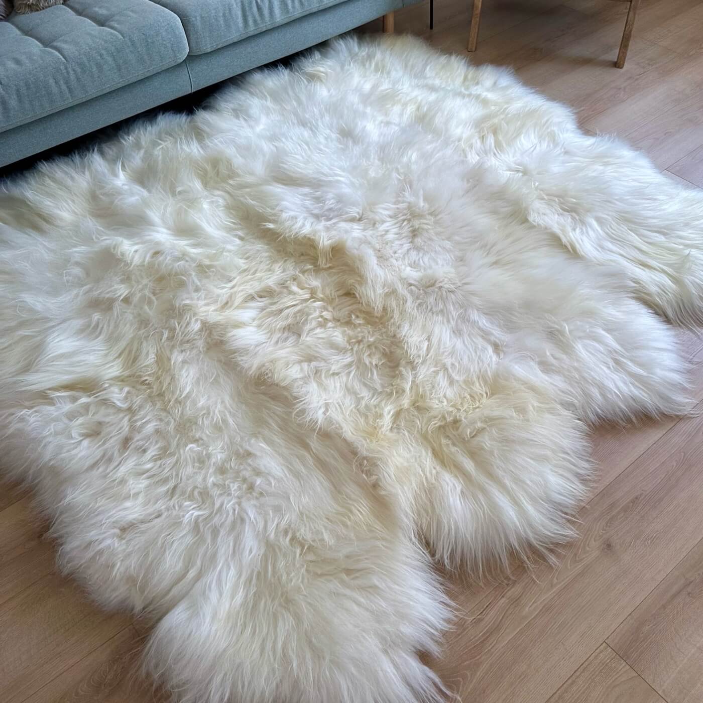 Covor Sexto (8 piei) din Blană Naturală de Oaie Islandeză, Alb - pe podea