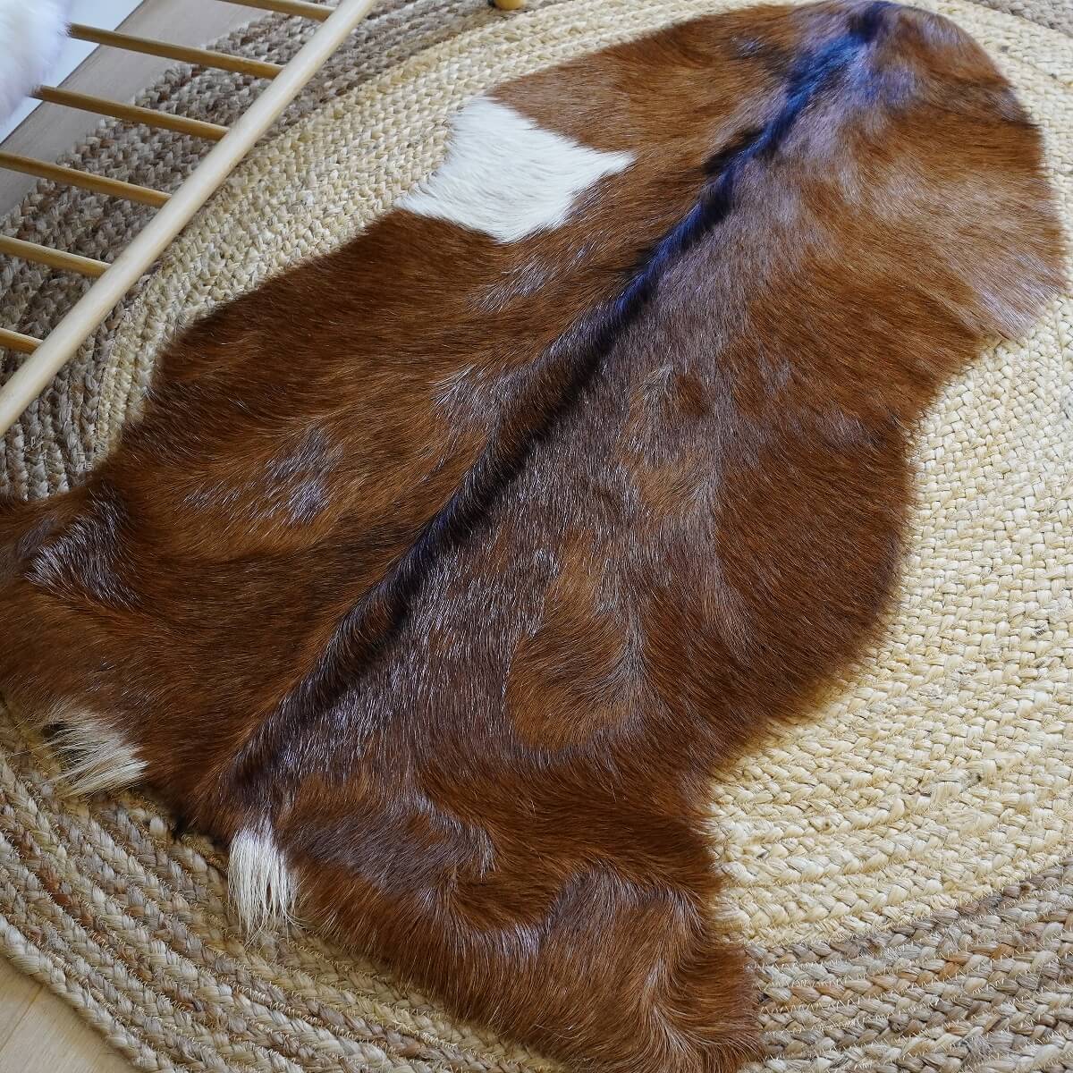 Covor din Piele de Capra, Tricolor