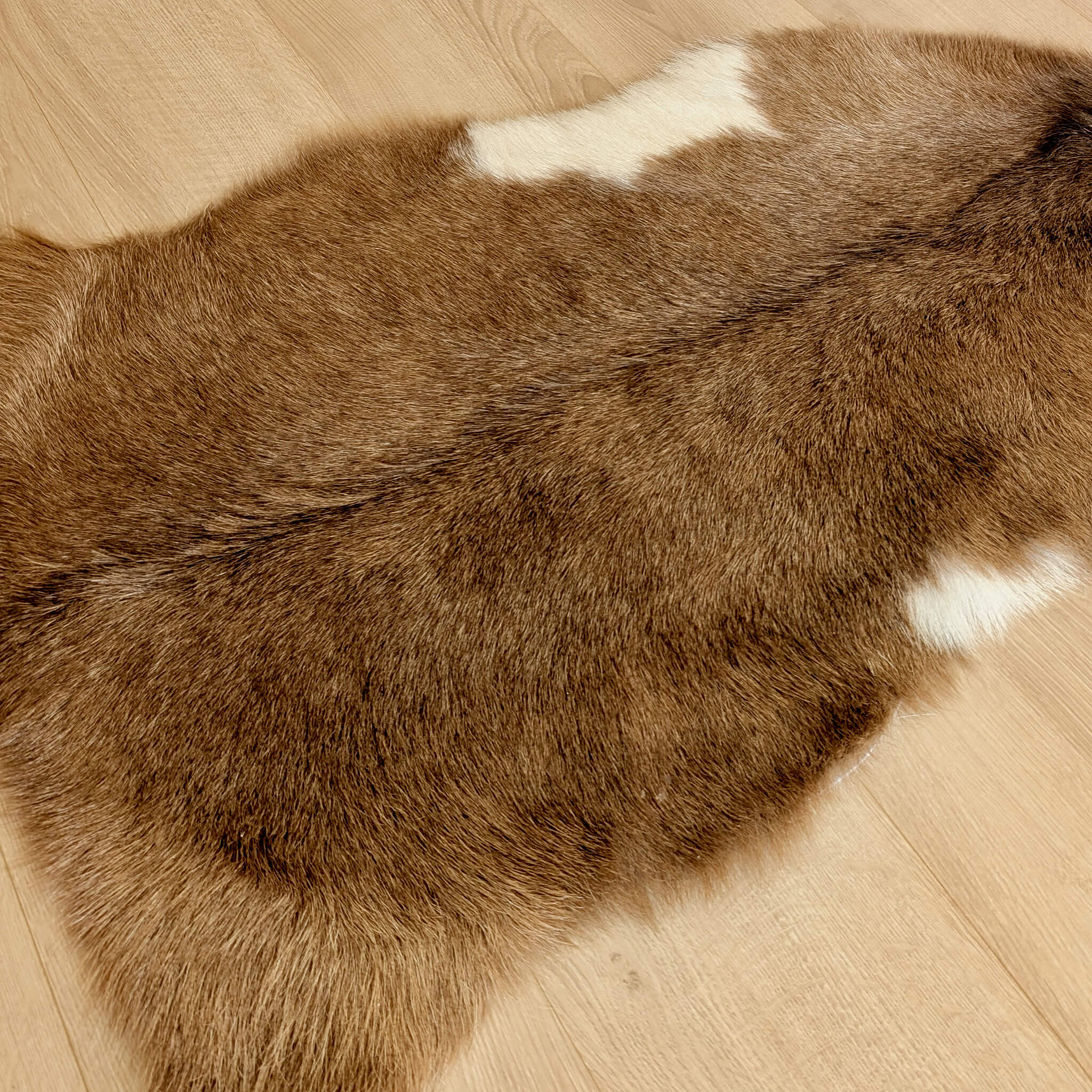 covor din piele naturala de capra maro cu pete mici albe in detaliu