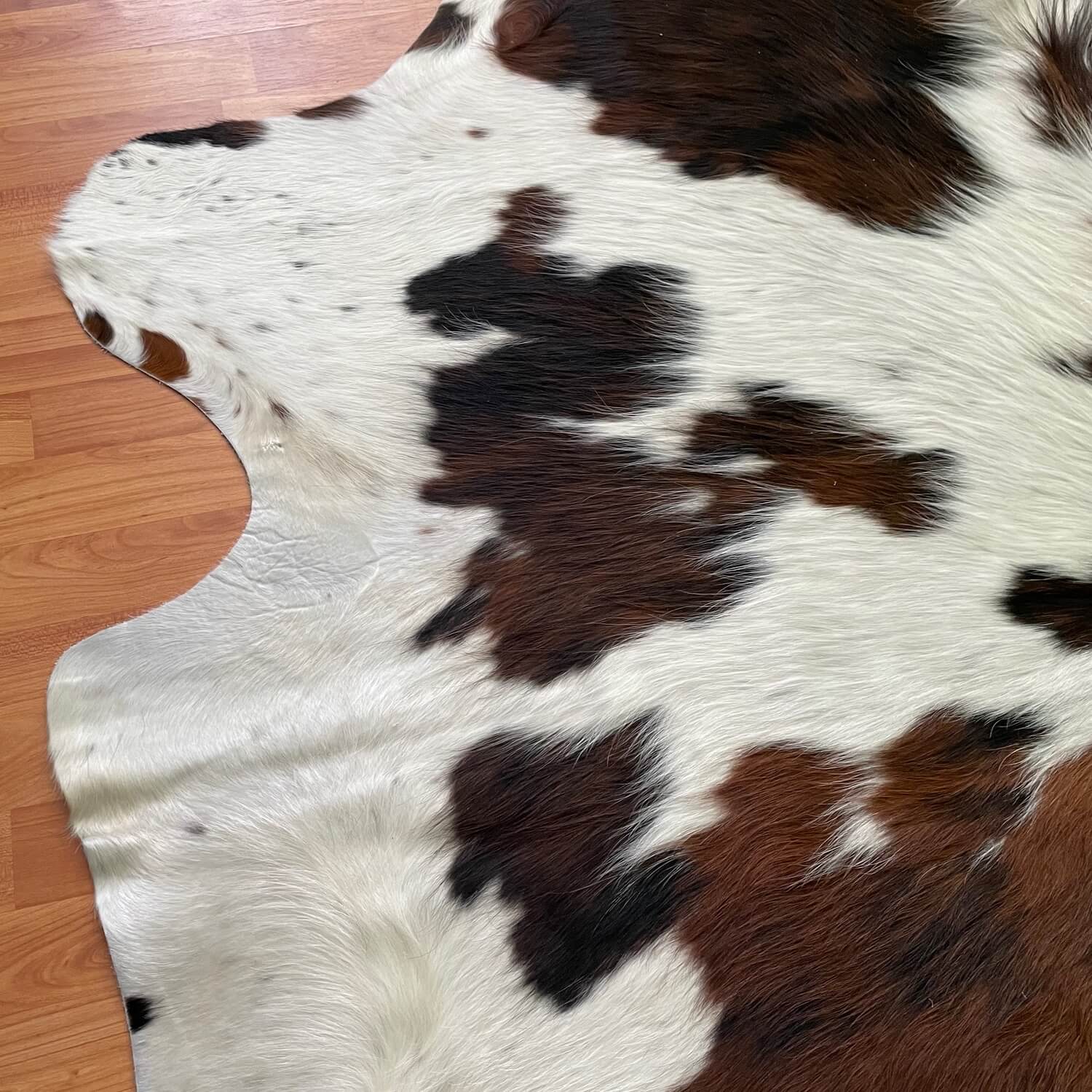 covor piele de vaca alb naturala pestrit tricolor maro si negru, mango+bloom