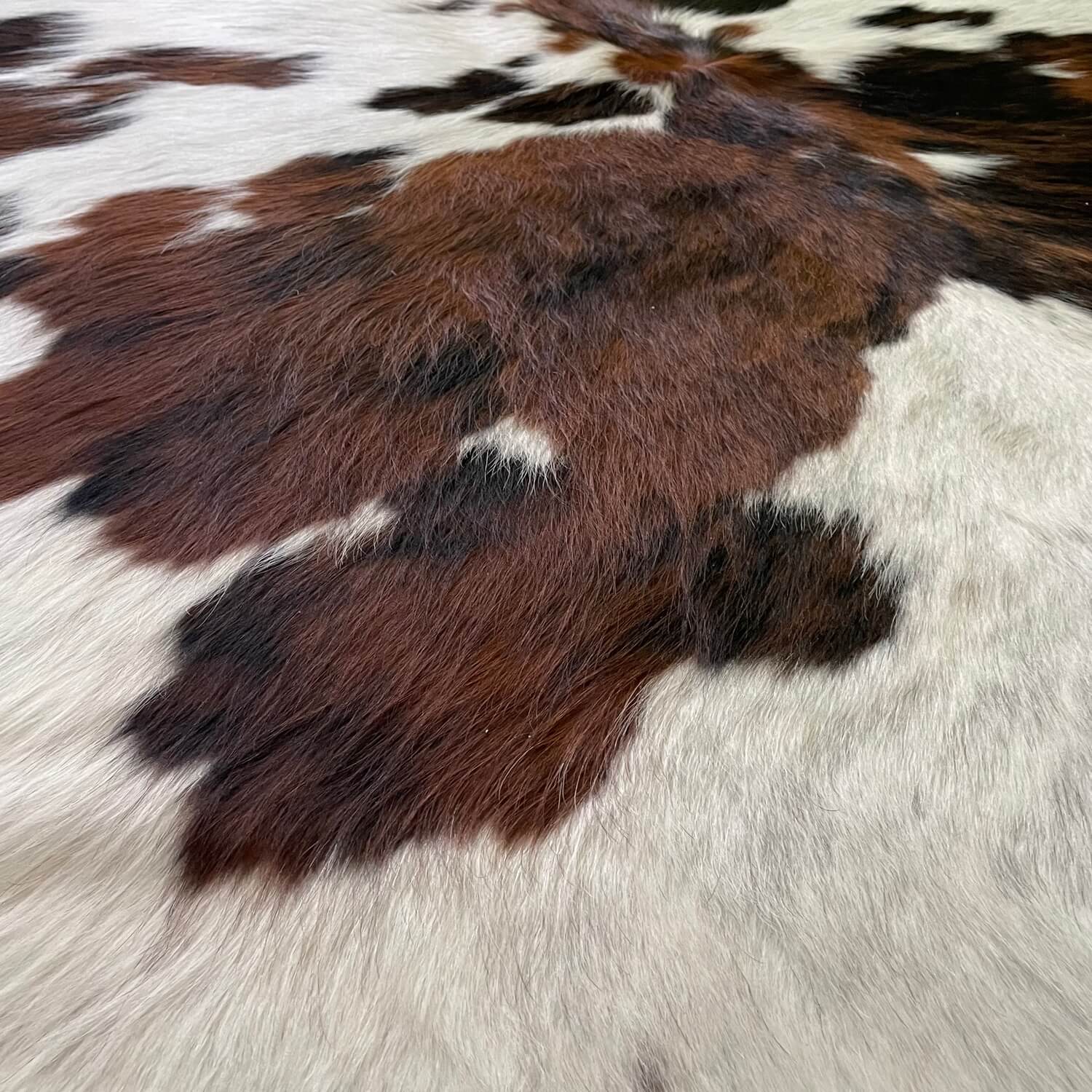 covor piele de vaca alb naturala pestrit tricolor maro si negru, zoom