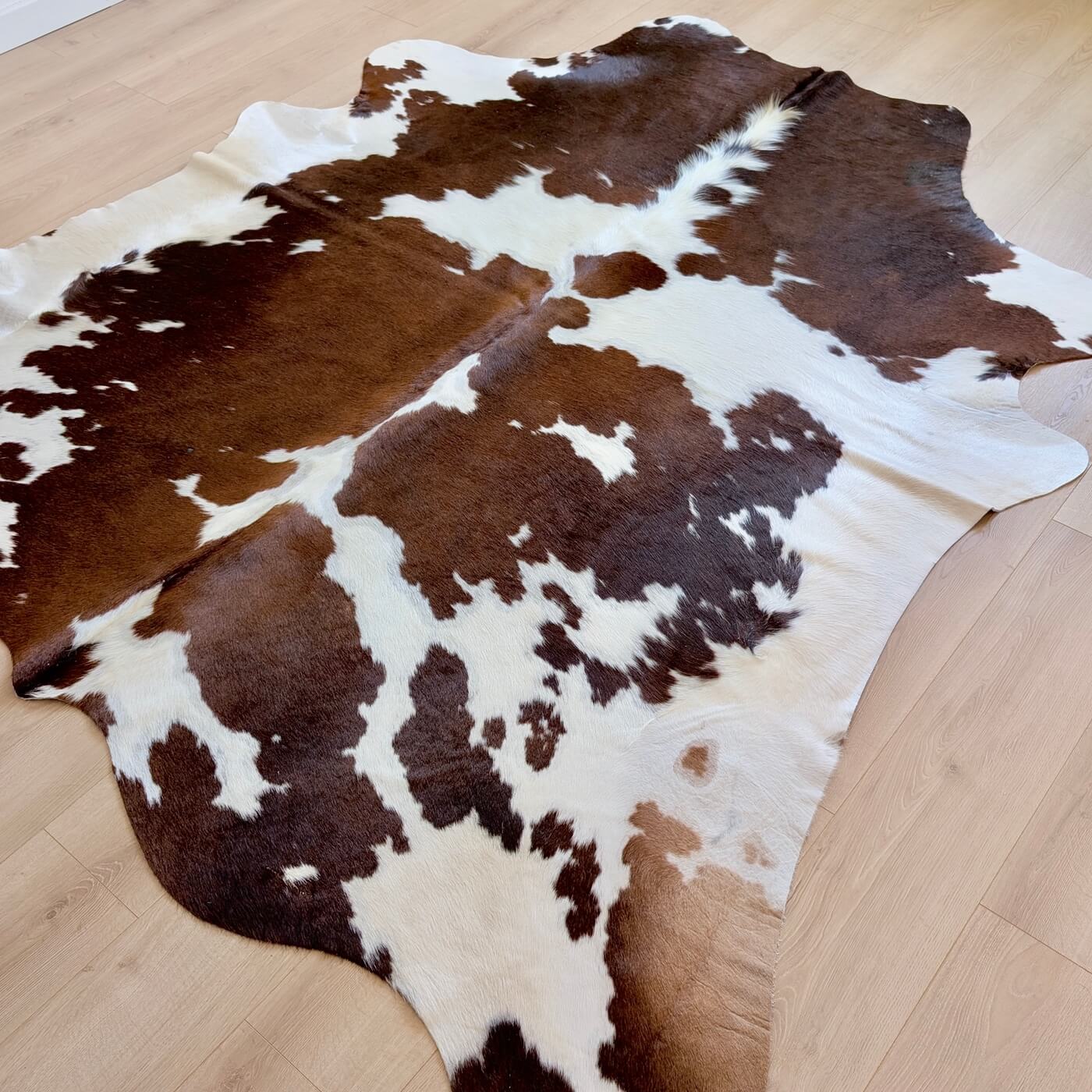 Covor din Piele de Vacă - Maro & Alb (240cm x 220cm) - marime XXL - cu pete spectaculoase - pe podea
