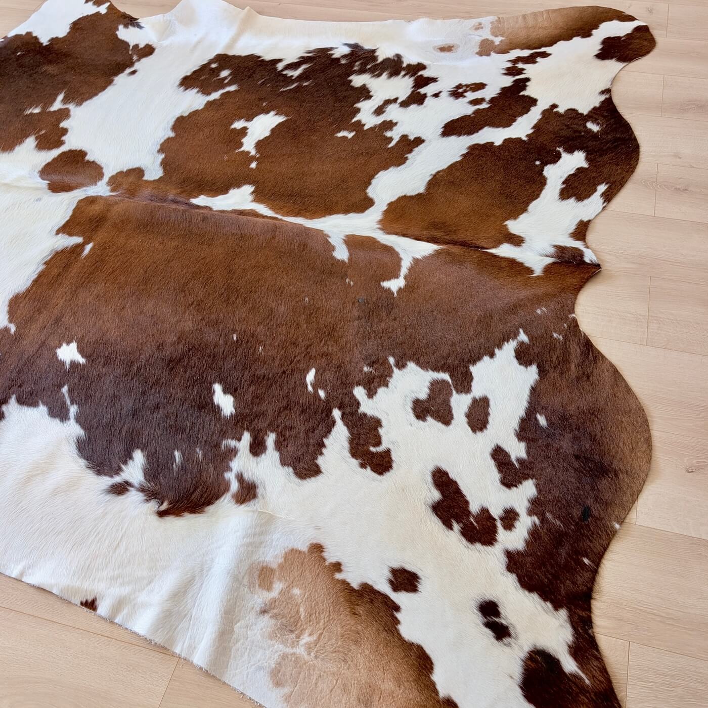 Covor din Piele de Vacă - Maro & Alb (240cm x 220cm) - mărime XXL - cu pete spectaculoase - bottom part