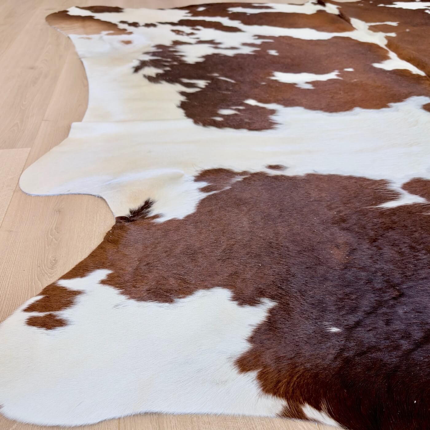 Covor din Piele de Vacă - Maro & Alb (240cm x 220cm) - mărime XXL - cu pete spectaculoase - side