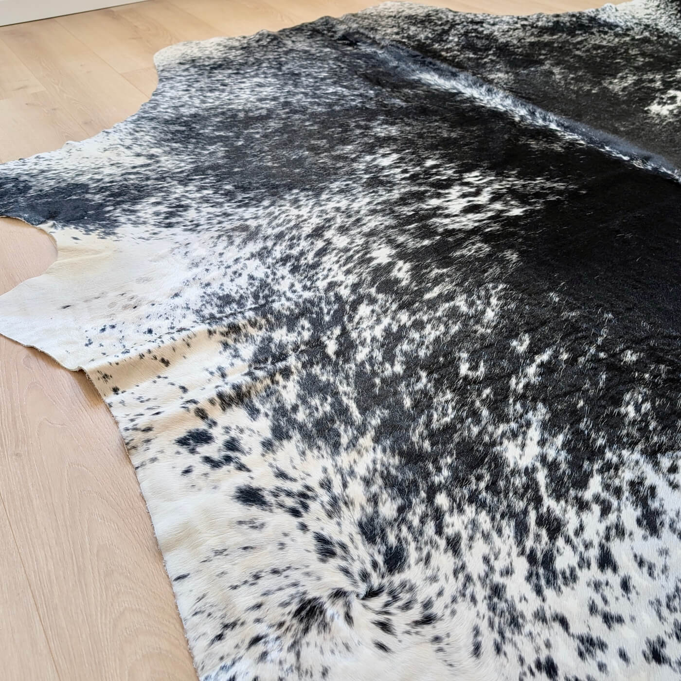 Covor din Piele de Vacă - Negru Pestriț (280cm x 250cm) - model pestrit fundal negru si pete albe gri - mărime XXXL - întinsă