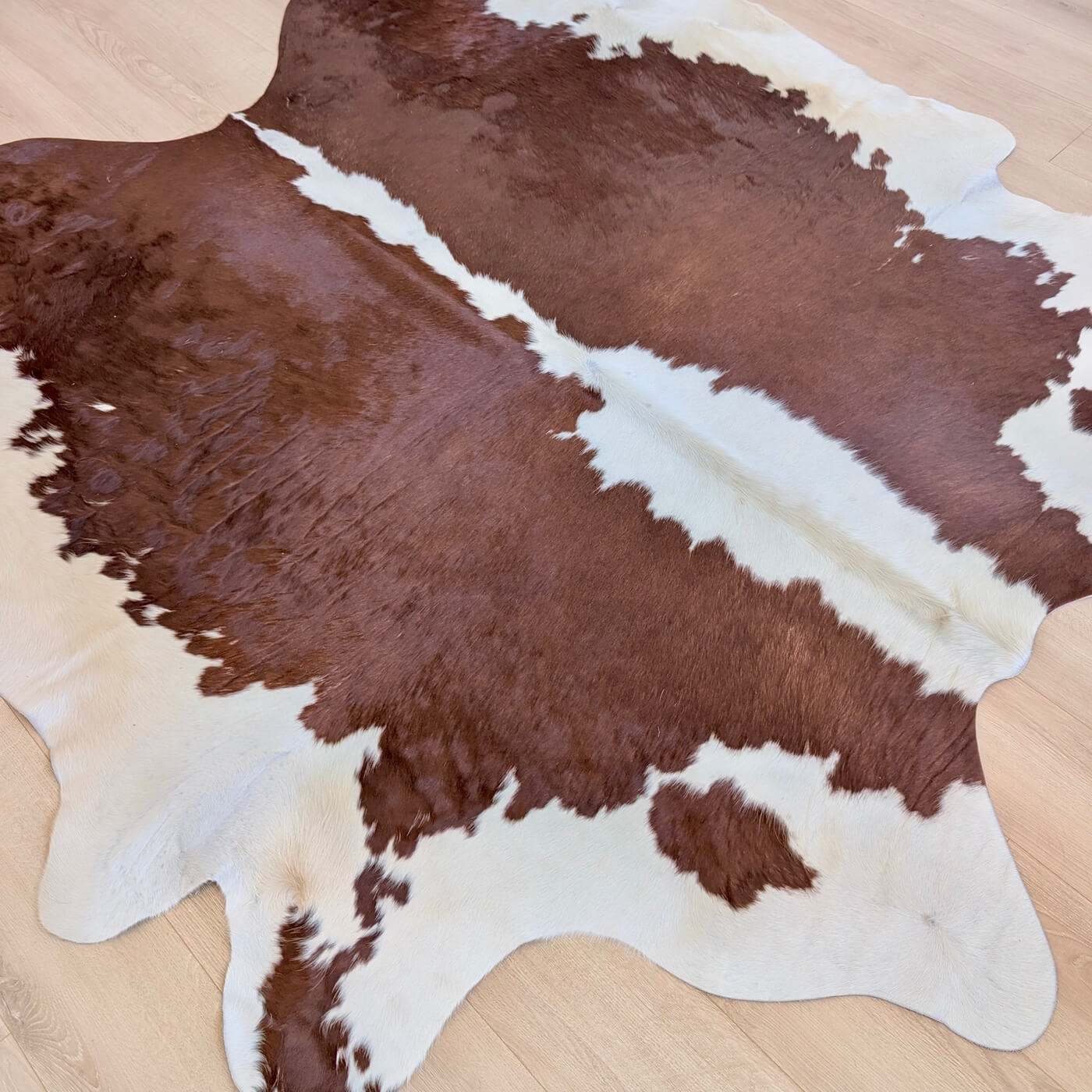 covor piele de vaca culoare maro rosiatic cu margini albe - marime mare perfect pentru living, studio sau birou - pe parchet