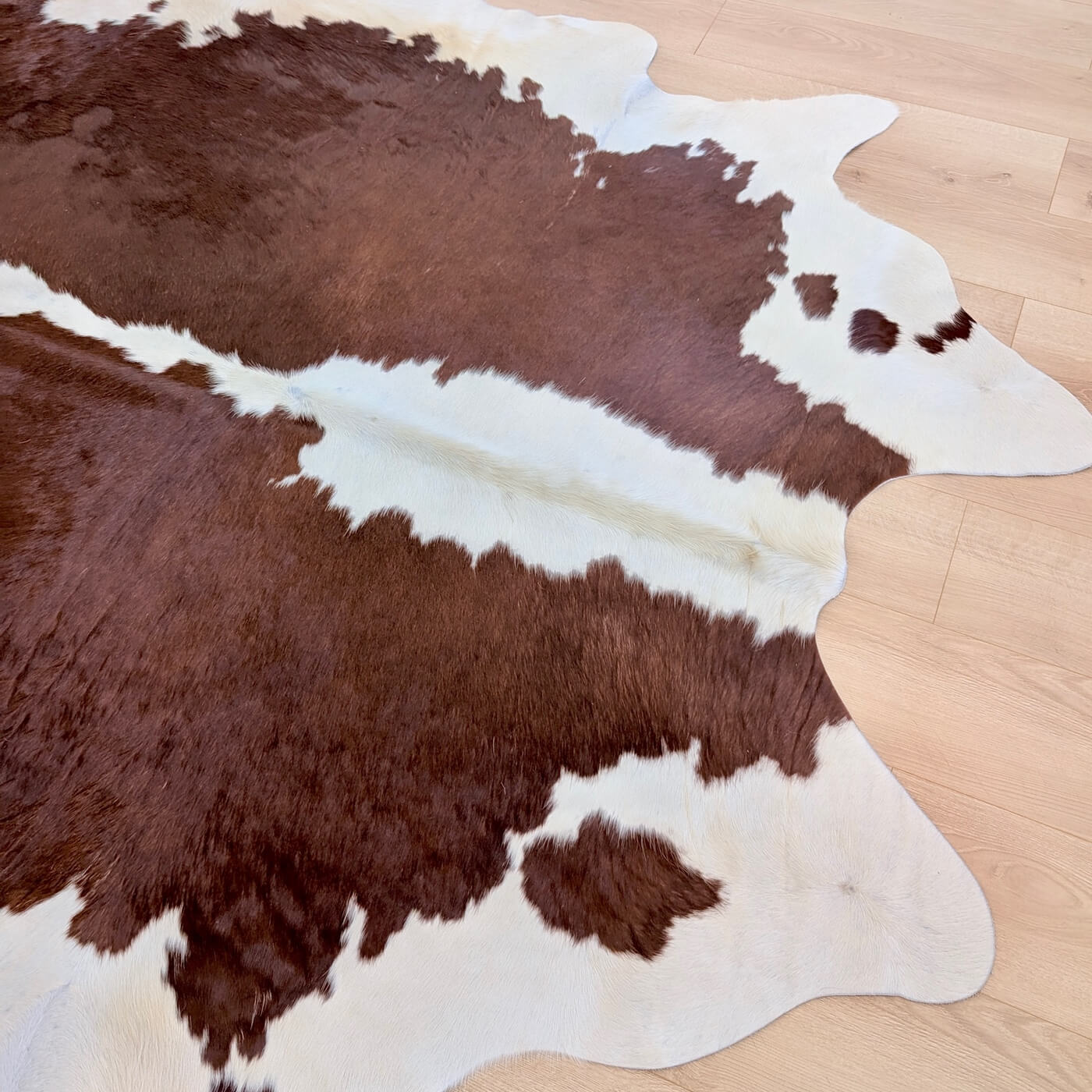 covor piele de vaca culoare maro rosiatic cu margini albe - marime mare perfect pentru living, studio sau birou - zoom sus