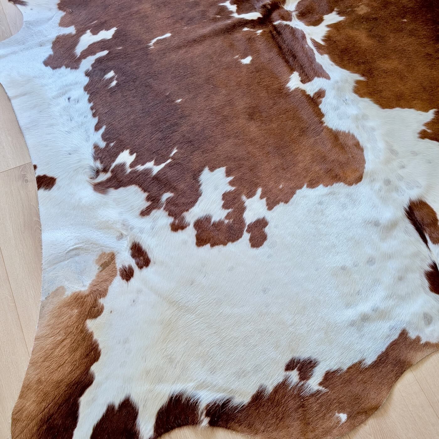 covor piele vaca 100% natural - fotografii reale - marime XL - maro cu pete albe - perfect pentru living, studio sau birou - zoom 1