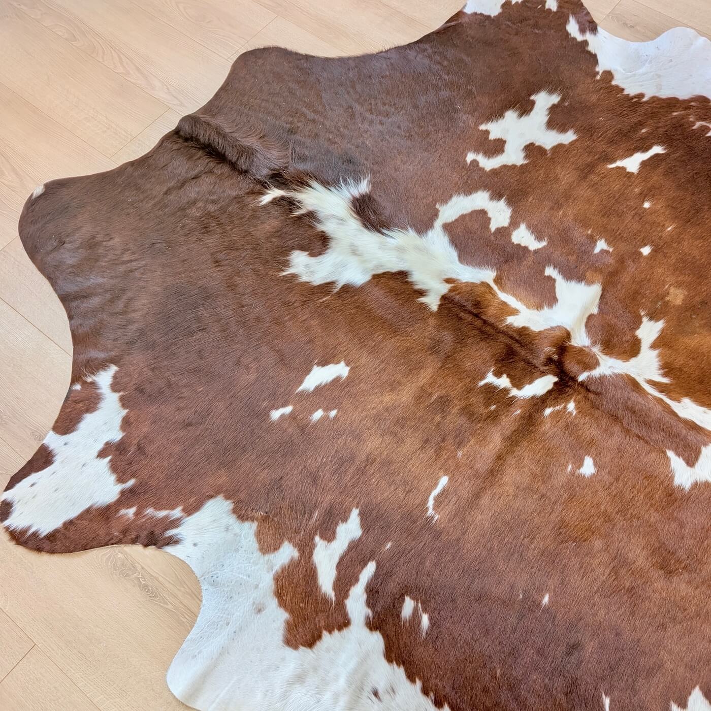 covor piele vaca 100% natural - fotografii reale - marime XL - maro cu pete albe - perfect pentru living, studio sau birou - sus