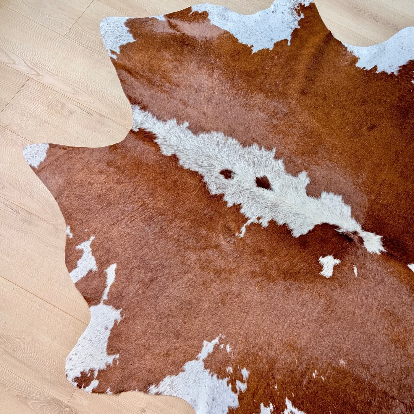 Covor din Piele de Vacă - nuanțe de maro și alb (205cm x 195cm) - dimensiuni medii - top part