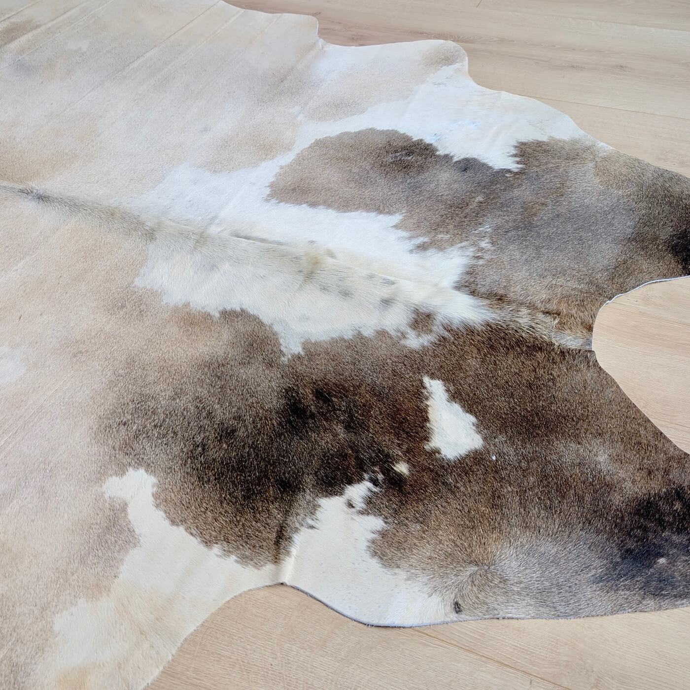 Covor din Piele de Vaca - Bej & Maro (235cm x 210cm) - nuante