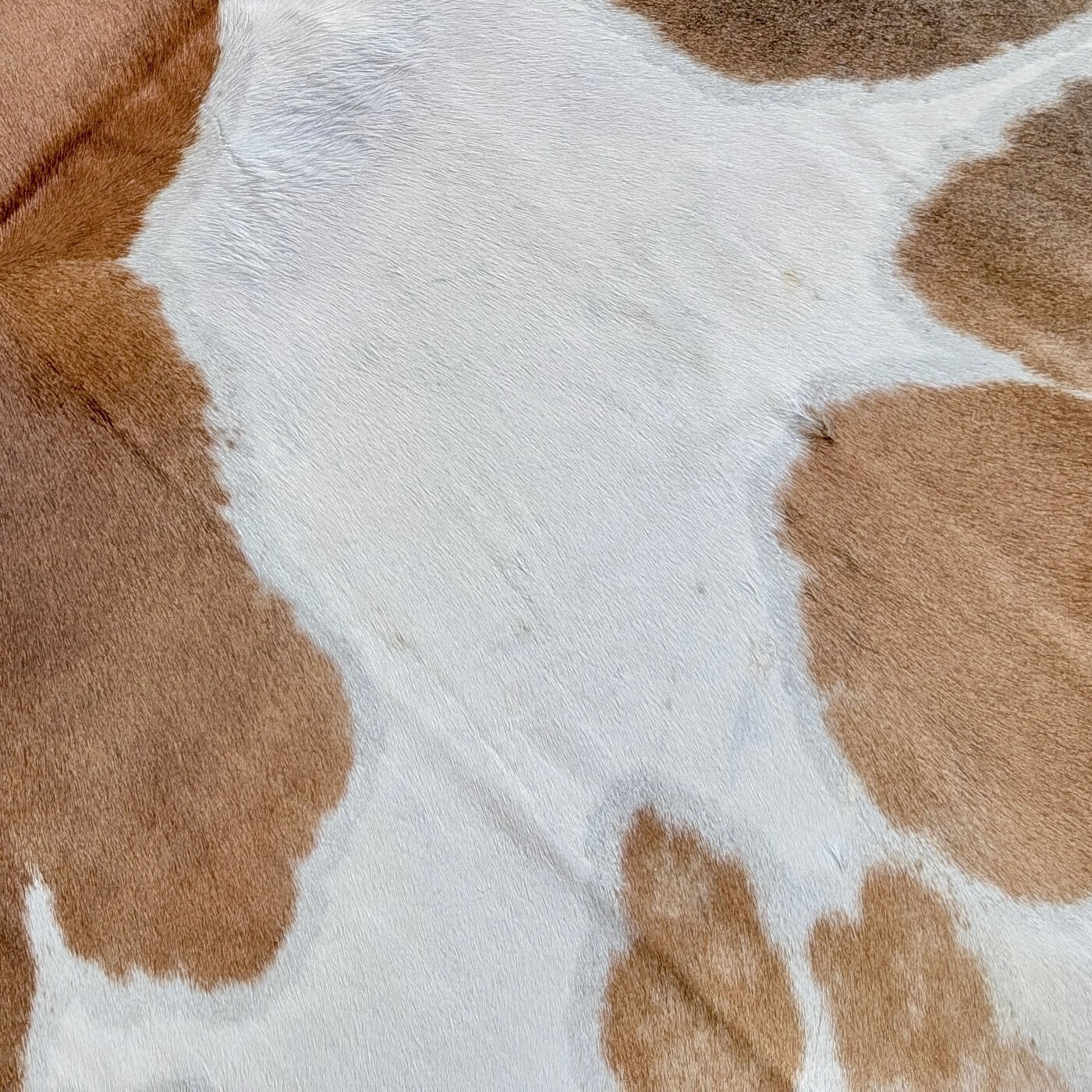 Covor din Piele de Vaca - Alb & Maro (240cm x 200cm) - zoom