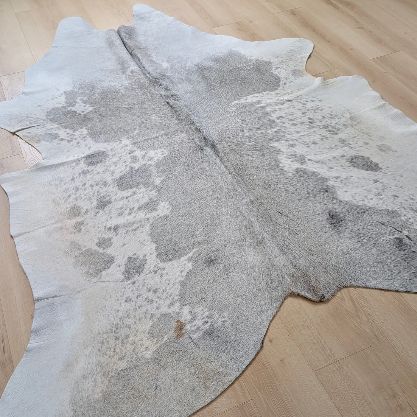 Covor din Piele de Vaca - Gri (235cm x 200cm) - intinsa pe podea