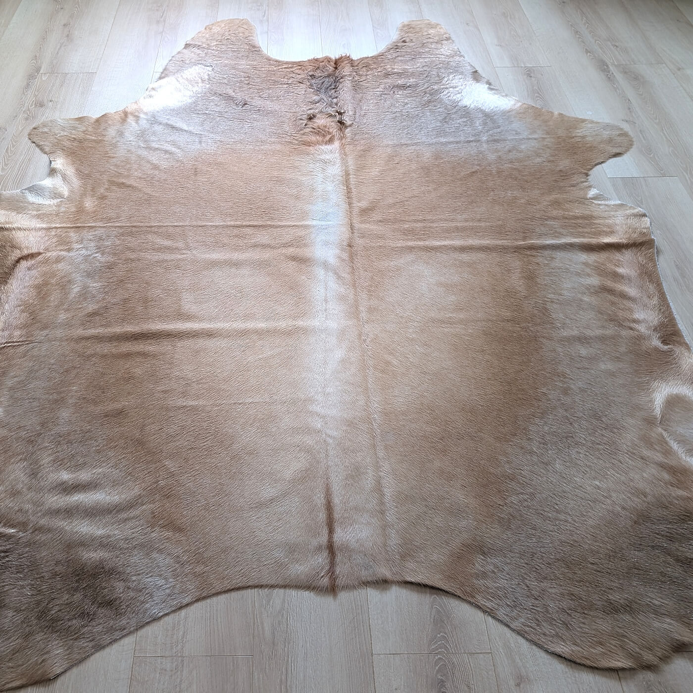 covor din piele de vaca maro caramel mbch533 pe parchet