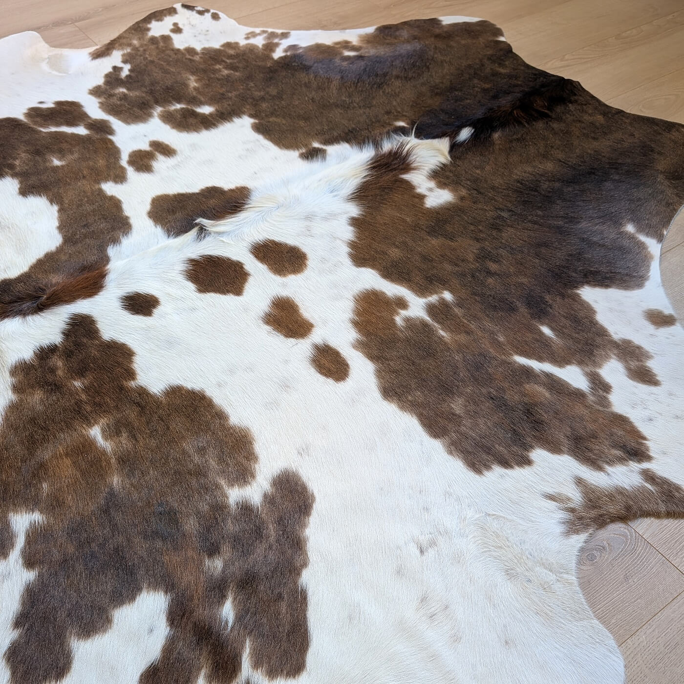 Covor din Piele de Vaca - Alb & Maro cu Pete (240cm x 215cm)