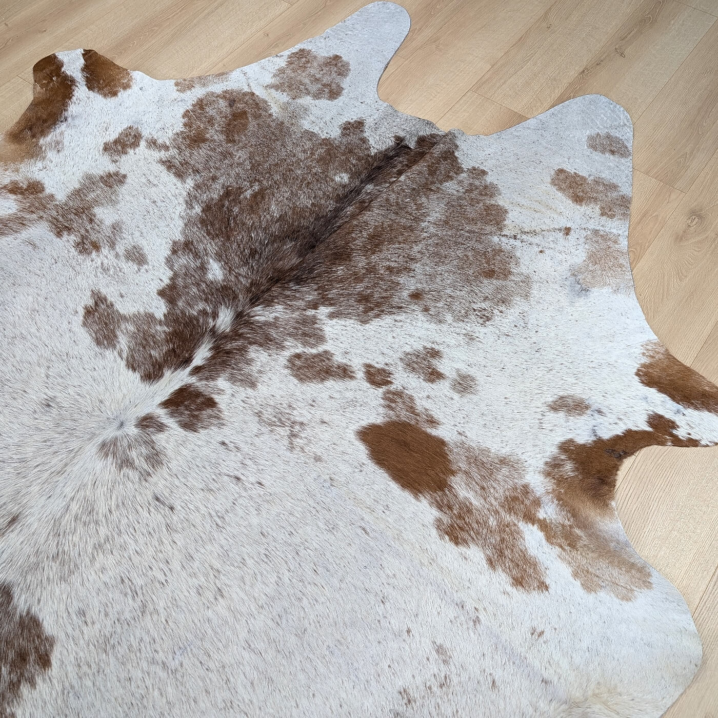 covor din piele de vaca mbch541 maro cu alb pe parchet