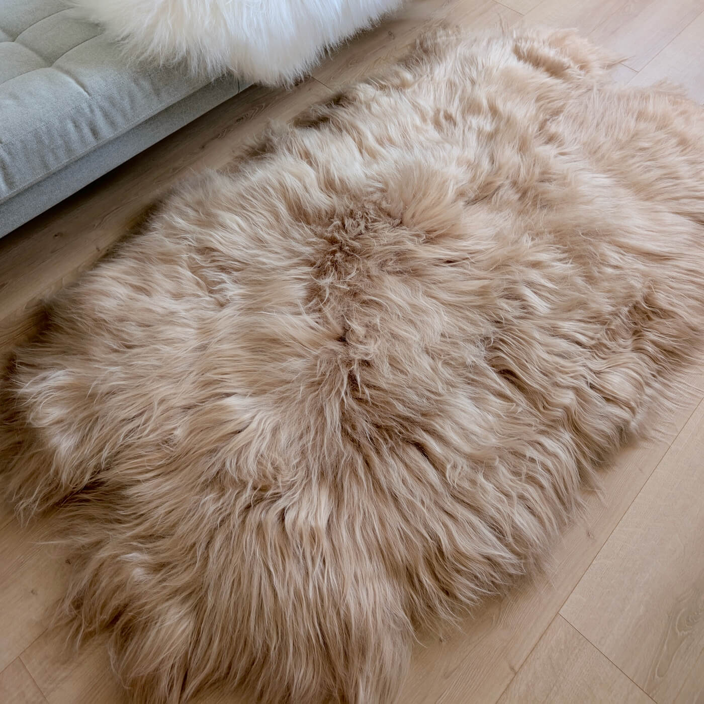 Covor quad din blană naturală de oaie islandeză realizat din 4 piei întregi cusute împreună. Dimensiune 180 x 110 cm și fir extra lung de minim 10 cm în nuanță de bej cappuccino - intins