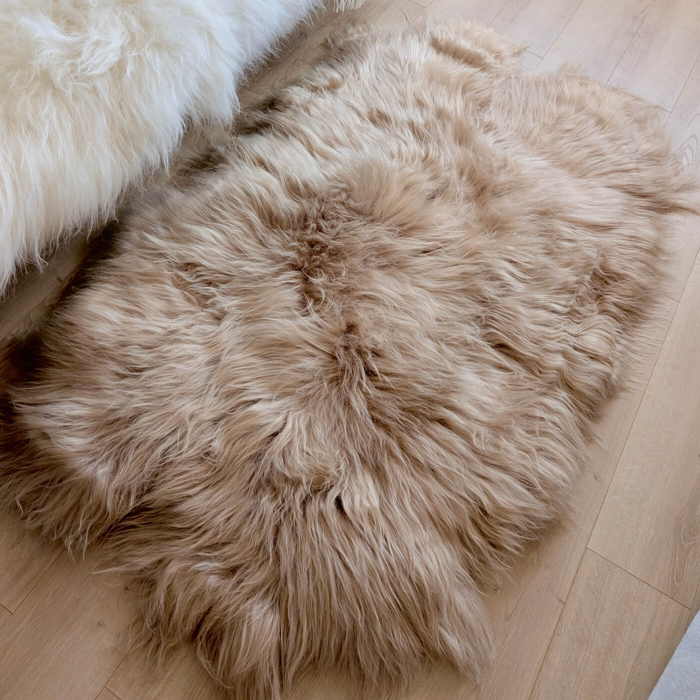 Covor quad din blană naturală de oaie islandeză realizat din 4 piei întregi cusute împreună. Dimensiune 180 x 110 cm și fir extra lung de minim 10 cm în nuanță de bej cappuccino. Pe parchet
