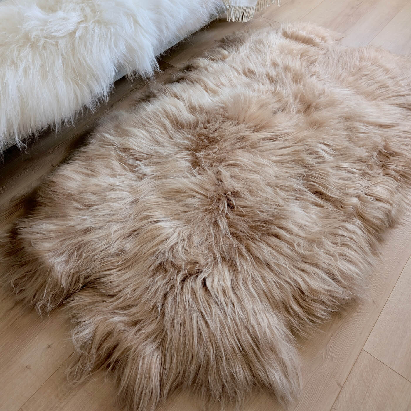 Covor quad din blană naturală de oaie islandeză realizat din 4 piei întregi cusute împreună. Dimensiune 180 x 110 cm și fir extra lung de minim 10 cm în nuanță de bej cappuccino - pe podea