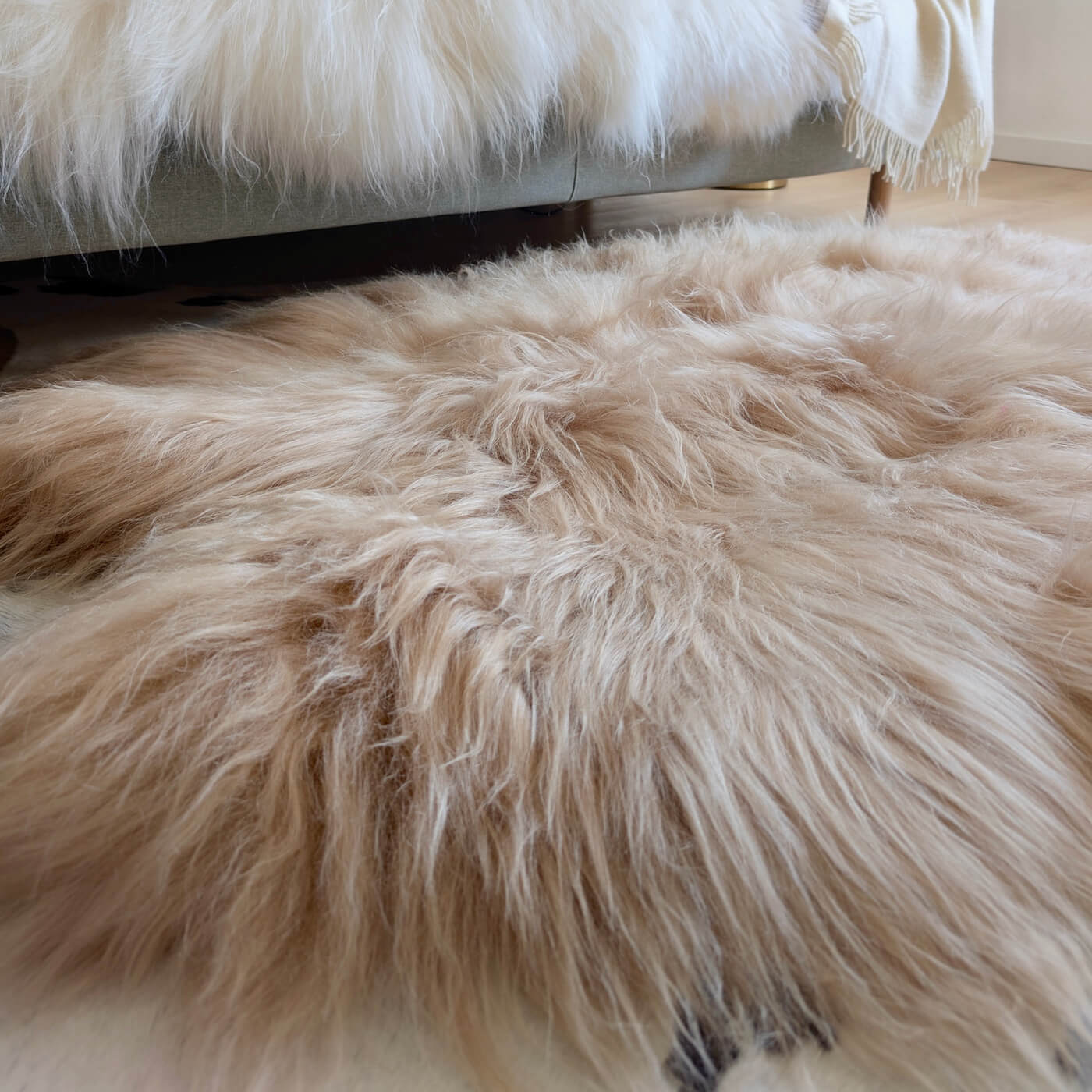 Covor quad din blană naturală de oaie islandeză realizat din 4 piei întregi cusute împreună. Dimensiune 180 x 110 cm și fir extra lung de minim 10 cm în nuanță de bej cappuccino - zoom