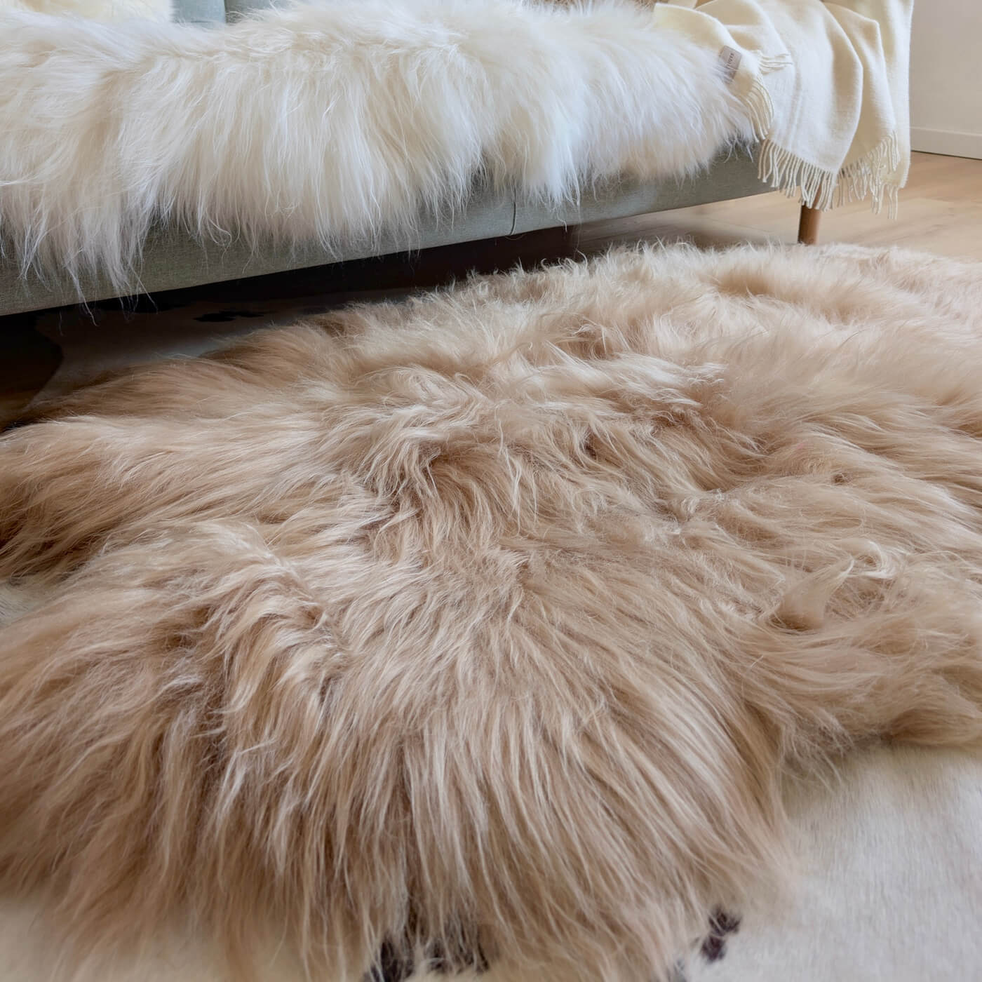 Covor quad din blană naturală de oaie islandeză realizat din 4 piei întregi cusute împreună. Dimensiune 180 x 110 cm și fir extra lung de minim 10 cm în nuanță de bej cappuccino - close up