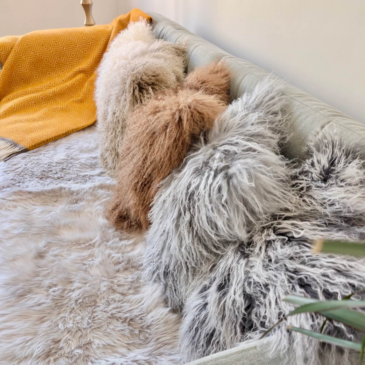 perne decorative din blana de oaie cu fir lung incretit, pe canapea, una langa alta